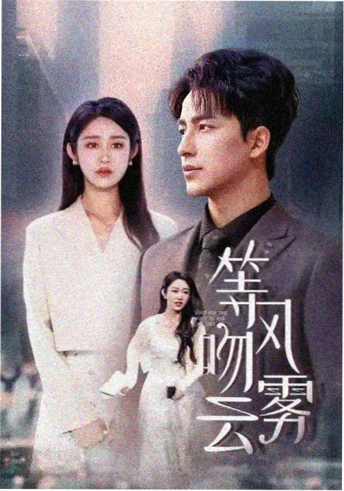 长夜将明剧集封面